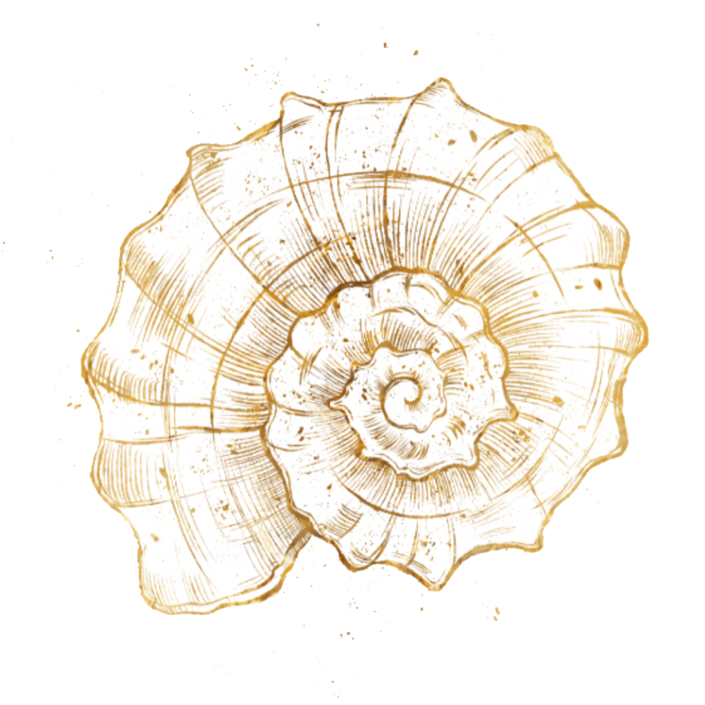 Grafik einer Schnecke