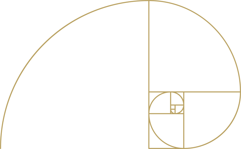 Grafik einer Fibonacci Schnecke