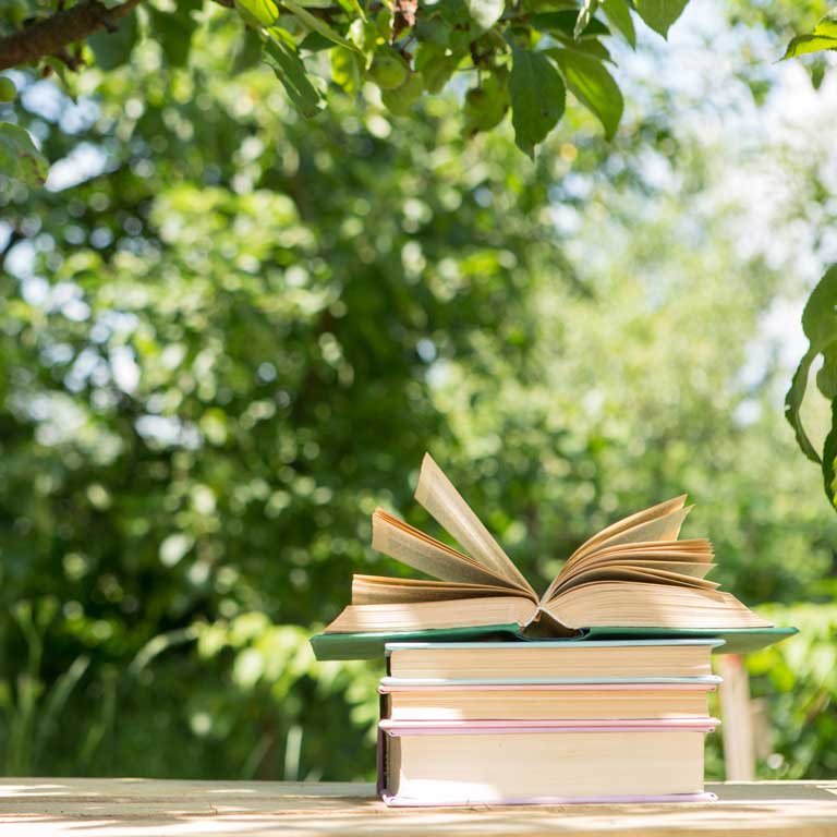 Sommer, Sonne, Gartenidylle – ein offenes Buch auf dem Holztisch lädt zum Wissen lernen ein